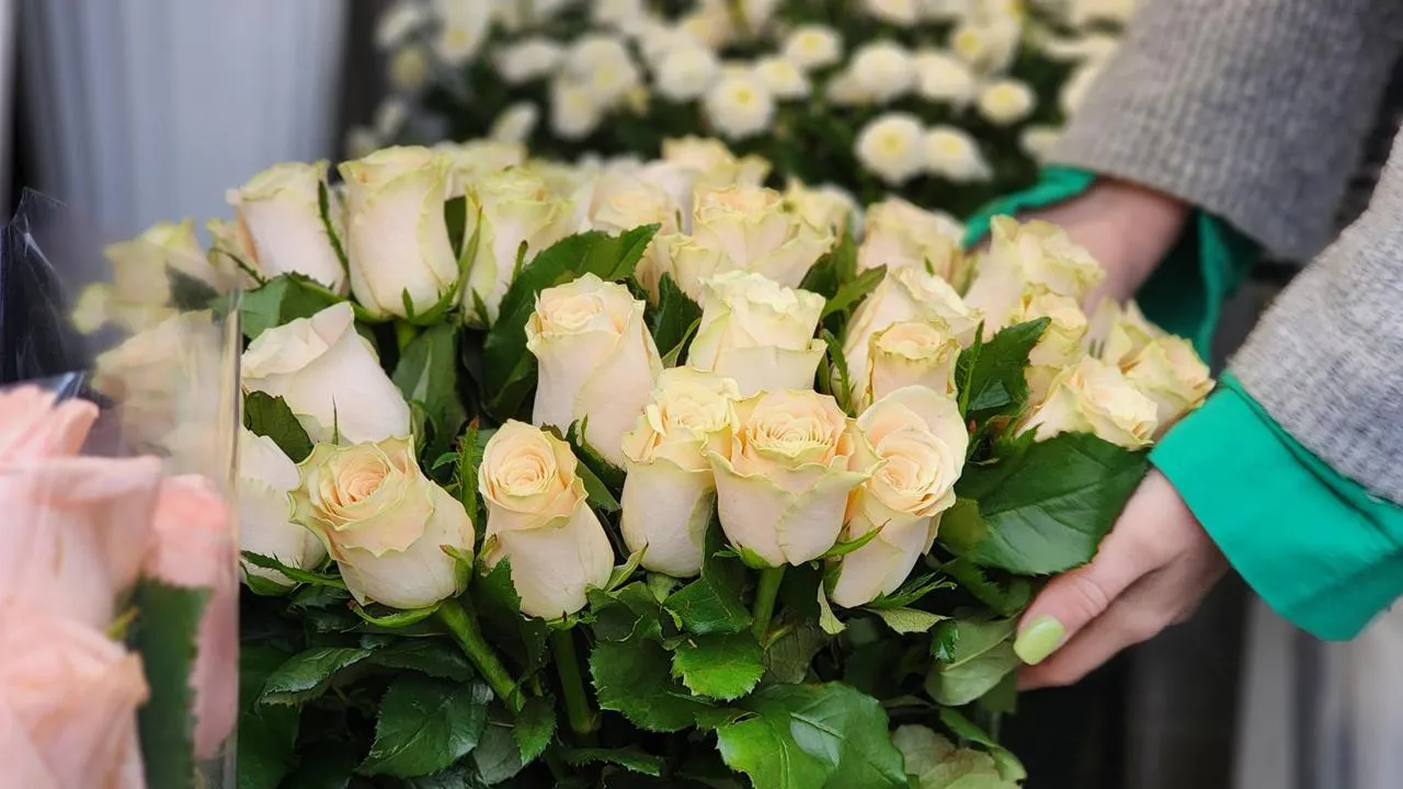 МедиаБанк Подмосковья/Екатерина Данилина