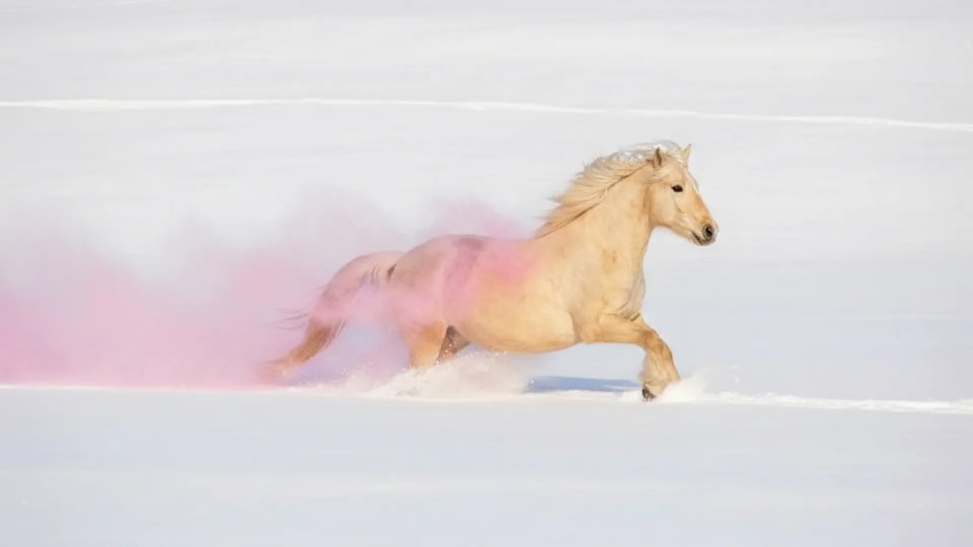 REGIONS/Сгенерировано нейросетью