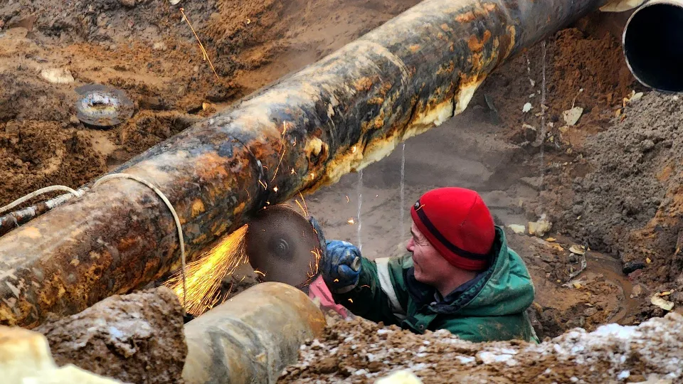 Фото: Мария Овчинникова