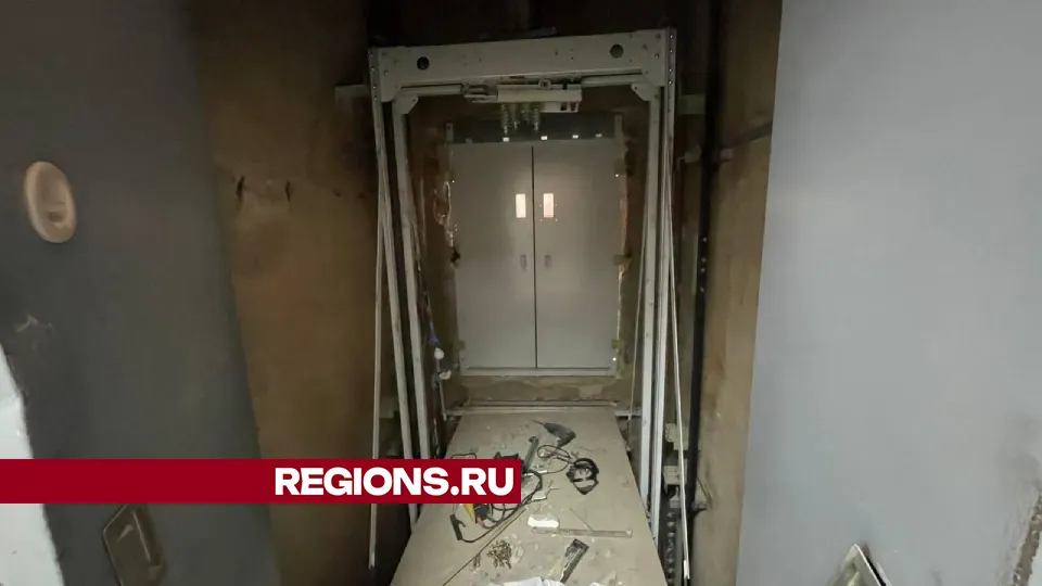 Фото: Евгений Рой