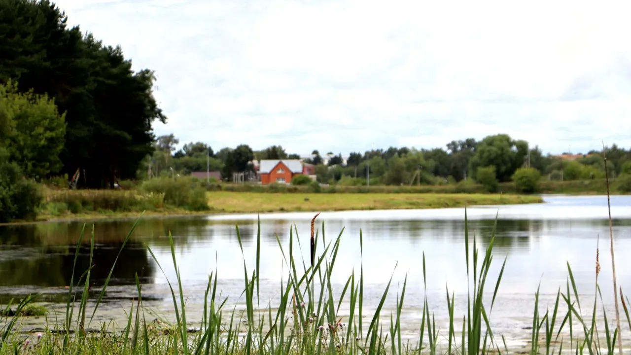 Фото: Пресс-служба губернатора и правительства МО