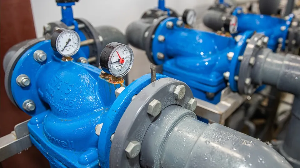 Фото: пресс-служба администрации Одинцовского городского округа