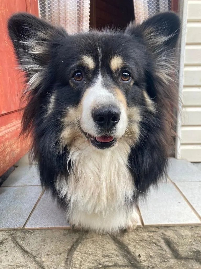 Фото: Подслушано на Глебовке (новая) / ВКонтакте