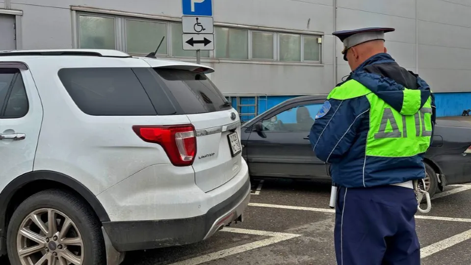 Фото: Госавтоинспекция Московской области