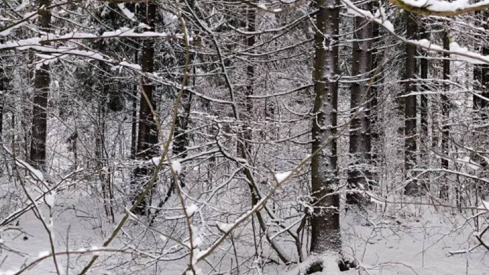 Фото: REGIONS/Роман Малышенко