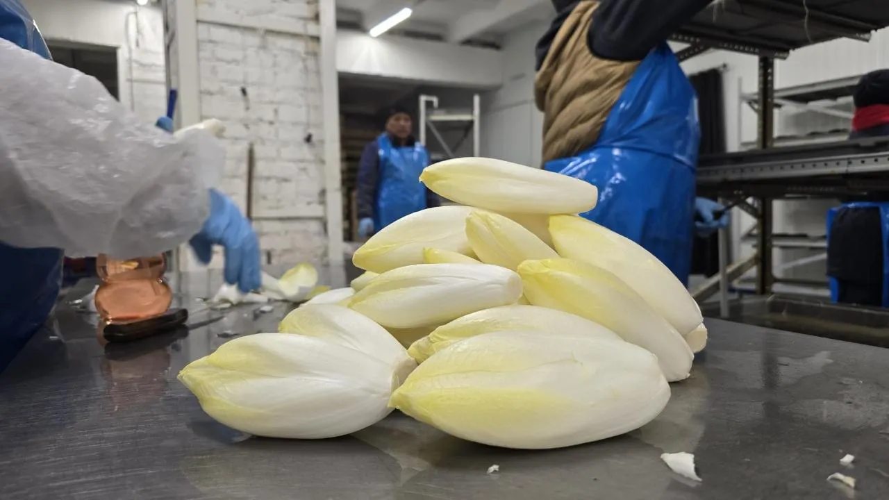 МедиаБанк Подмосковья/Марина Анисимова