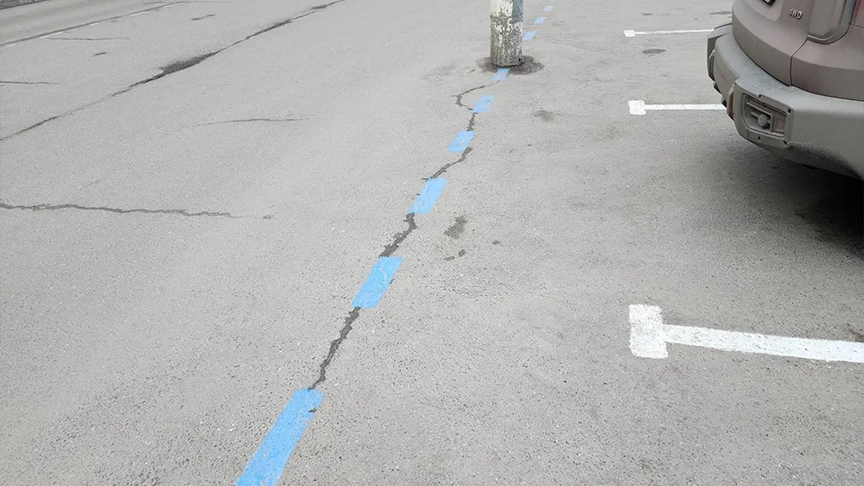 Фото: МедиаБанк Подмосковья/Михаил Раскин