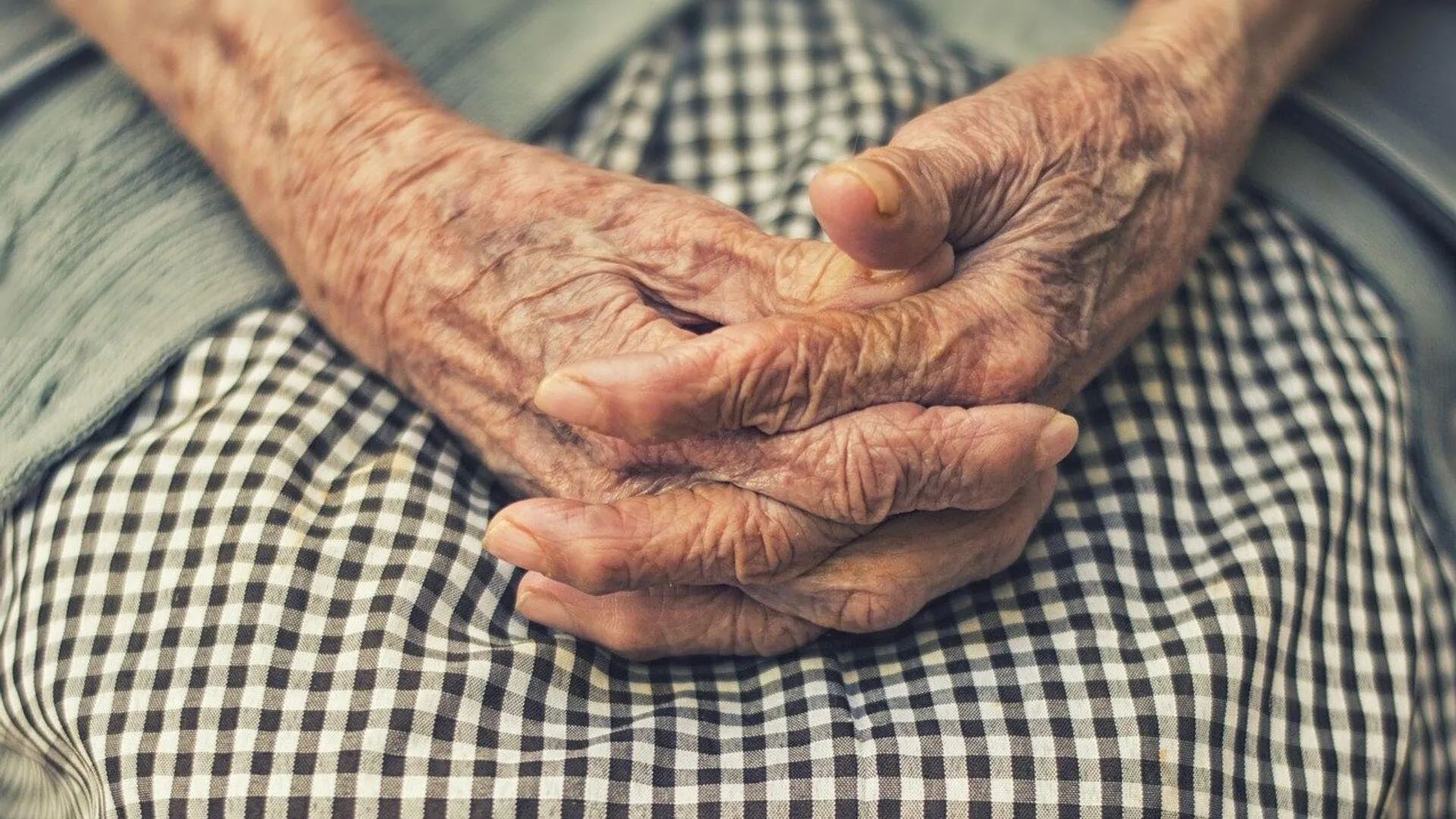 Фото: Pixabay.com