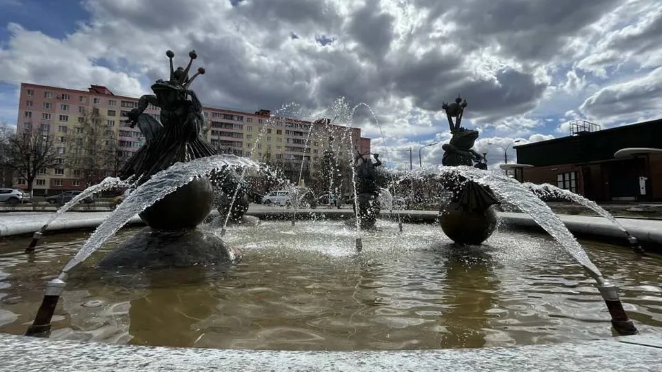 Фото: пресс-служба администрации Дмитровского г.о.