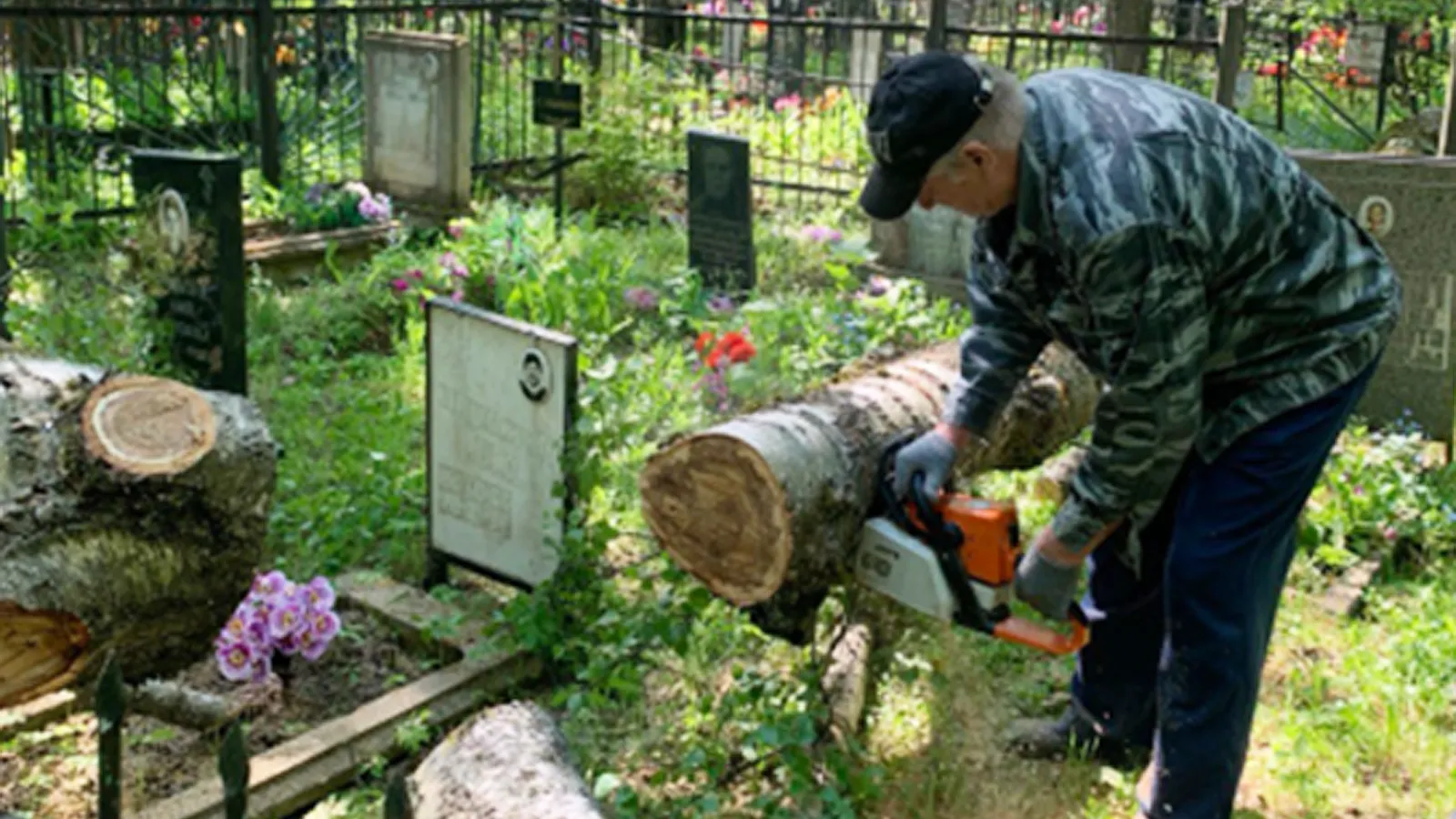 Фото: пресс-служба администрации г.о. Ступино