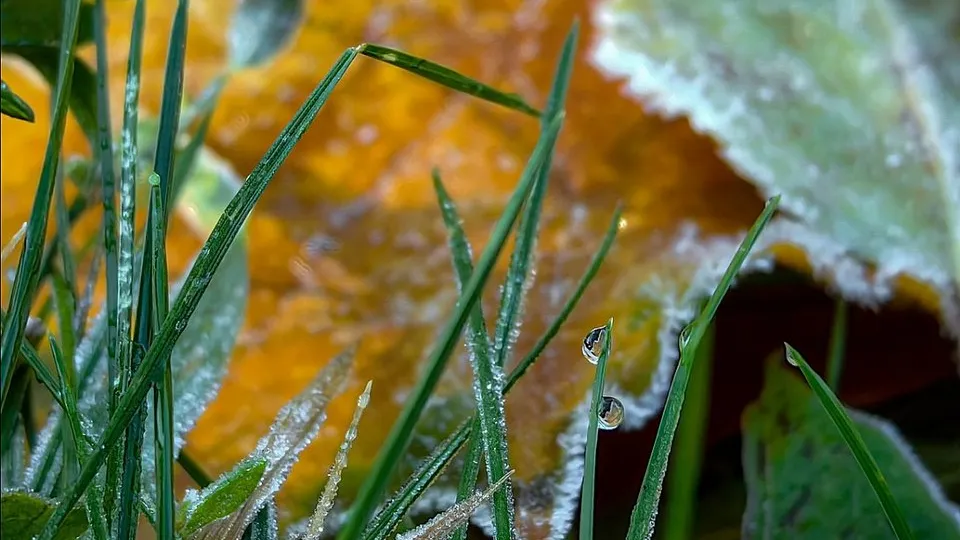 Фото: пресс-служба Администрации городского округа Луховицы