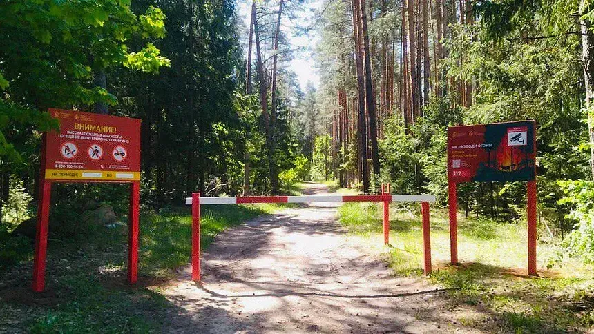Комитет лесного хозяйства МО