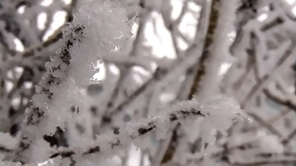 Фото: REGIONS/Роман Малышенко