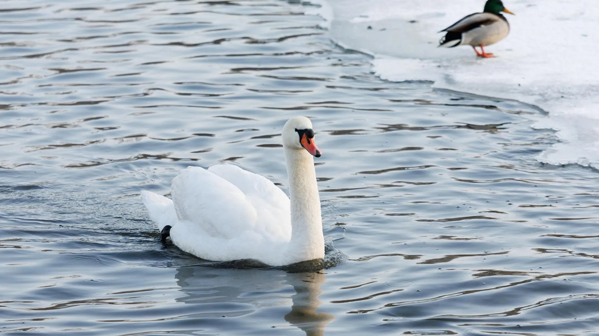 медиасток.рф