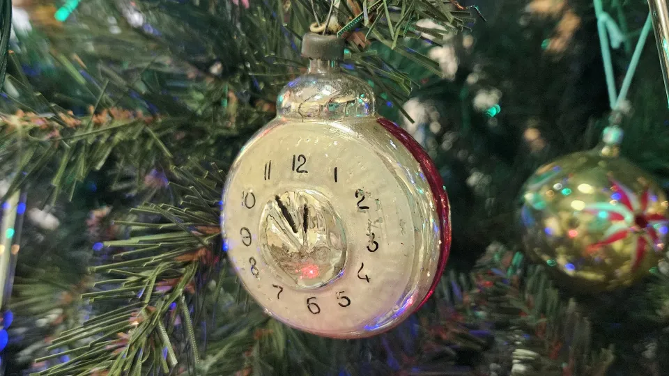 Фото: МедиаБанк Подмосковья/Вероника Горбачева