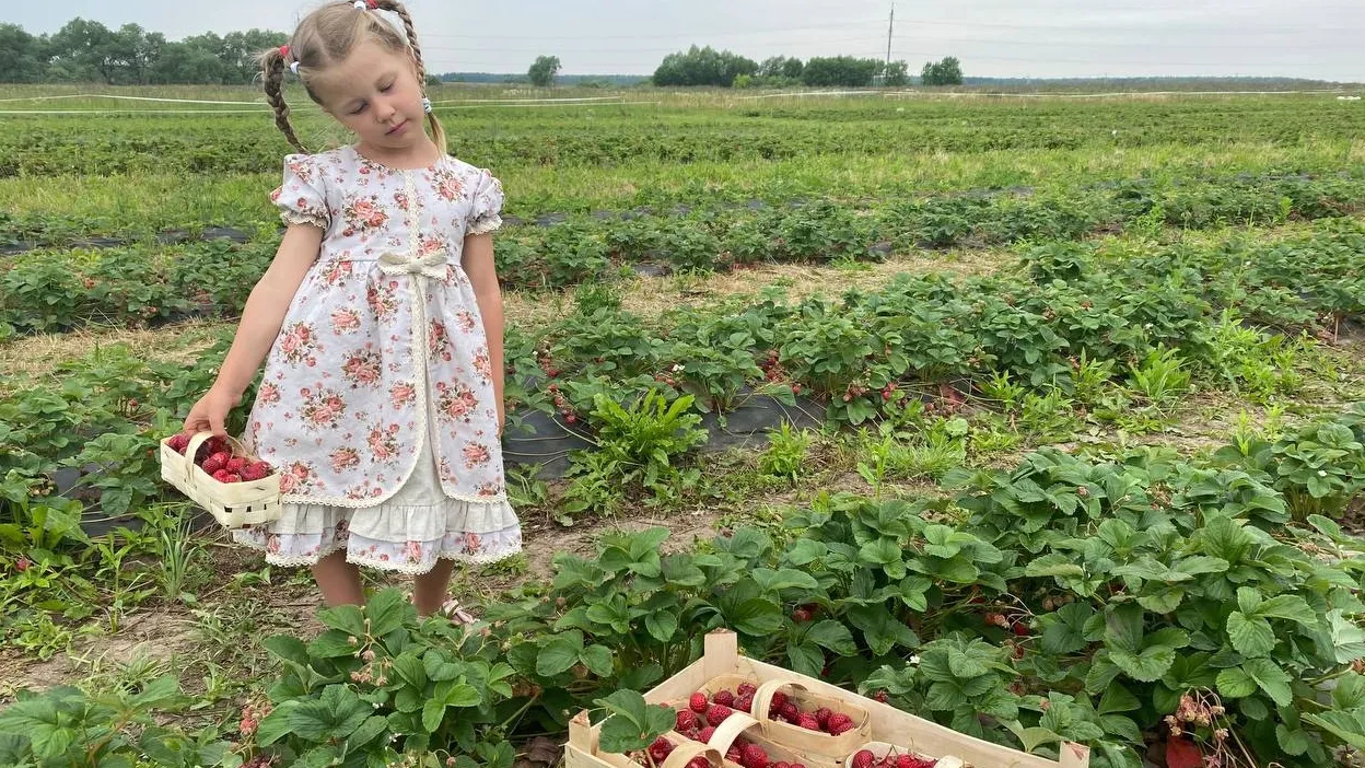 Фото: «Коломенская ягода»