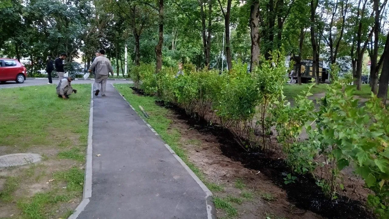 Фото: пресс-служба администрации городского округа Щелково