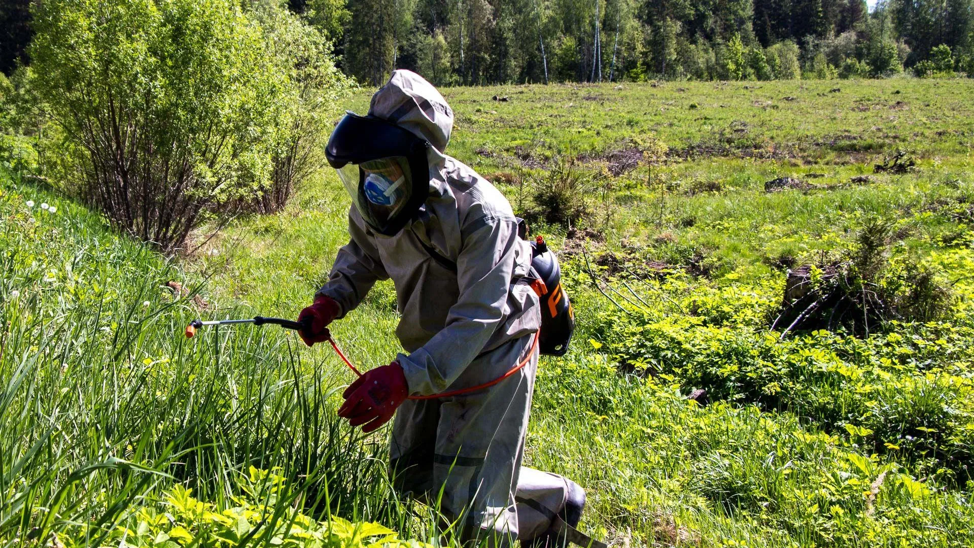 Фото: Минсельхозпрод МО