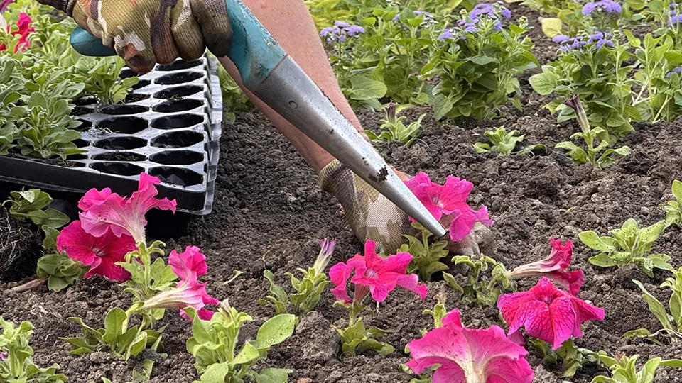 Фото: REGIONS/Мария Шматкова