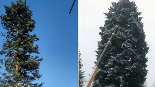 соцсети