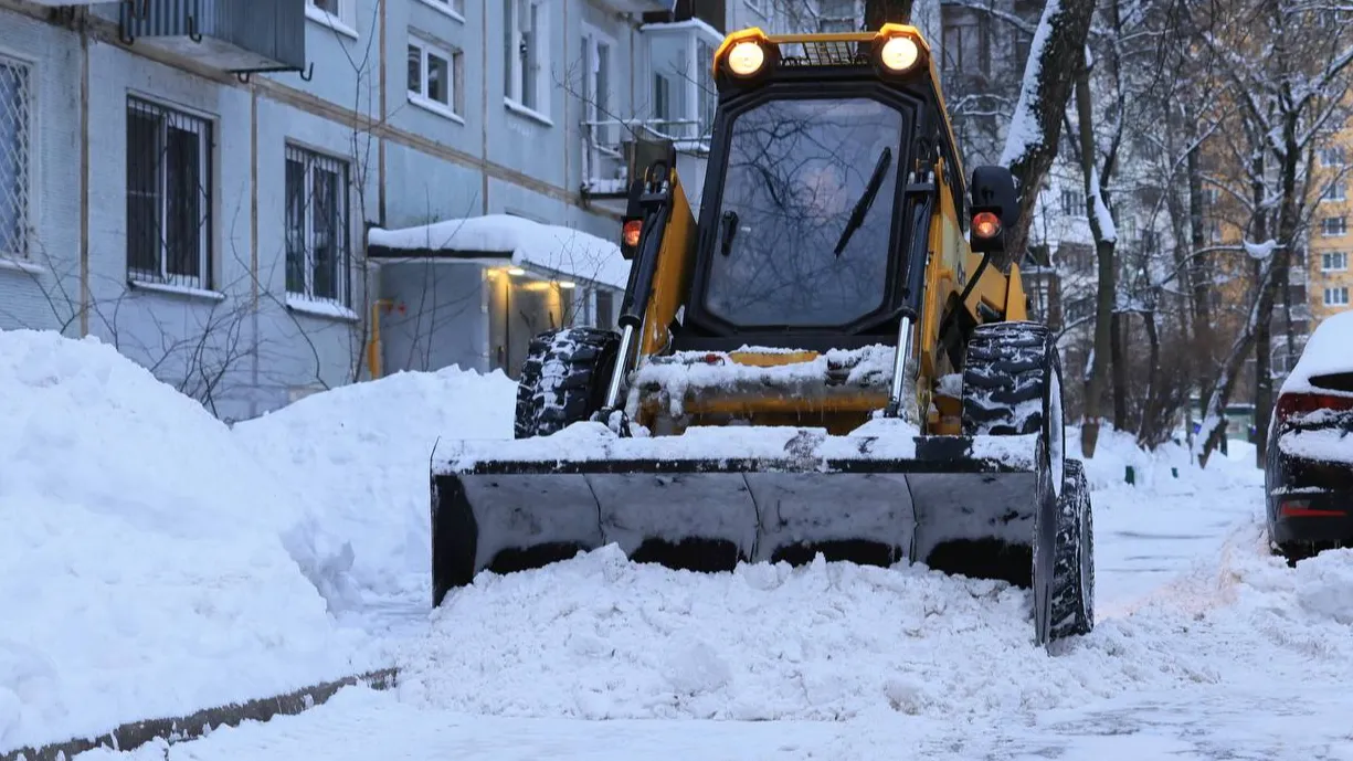 Фото: пресс-служба администрации г.о. Королев