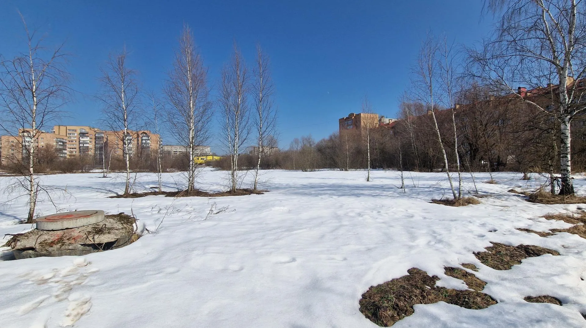 REGIONS/Ольга Шаронова