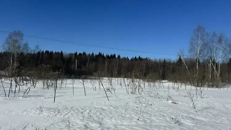 Единый портал торгов Московской области ЕАСУЗ