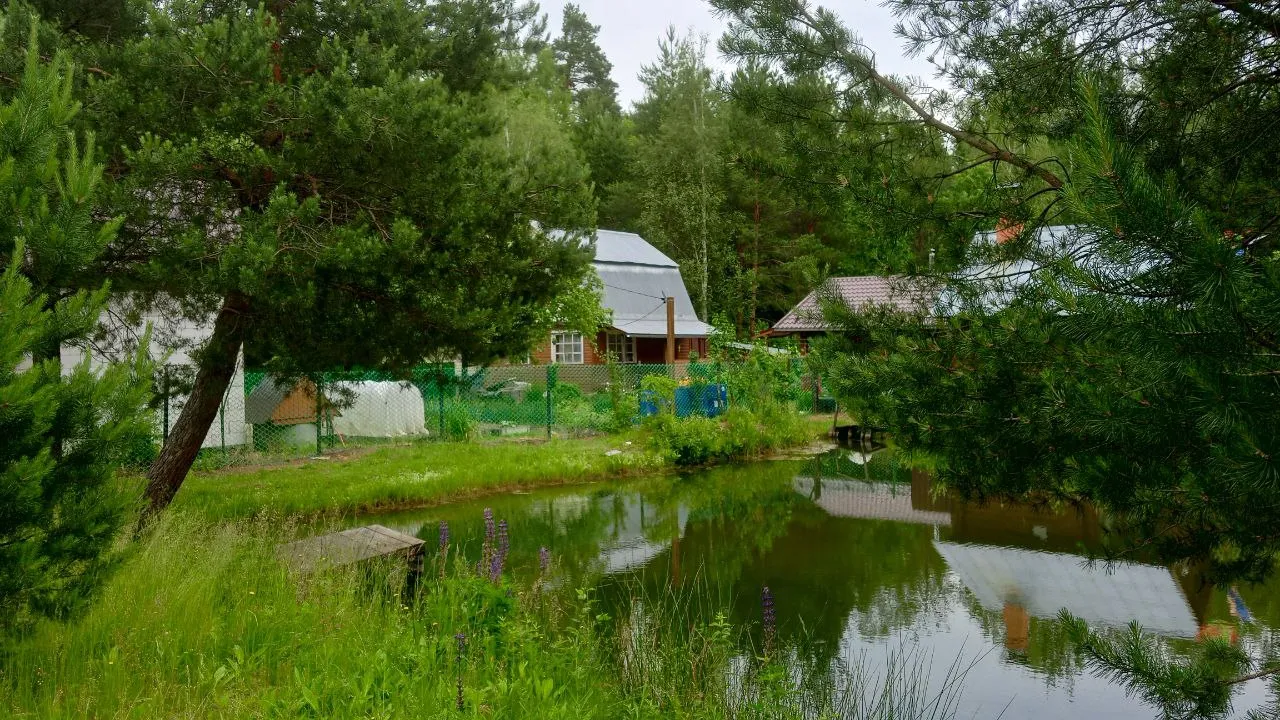 Фото: REGIONS/Василий Тремасов