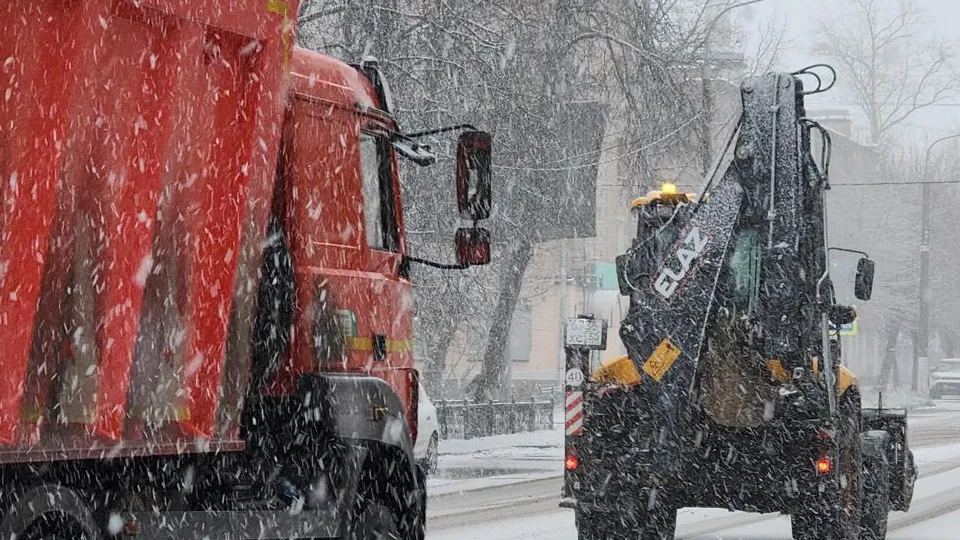 Фото: REGIONS/Нина Басистая