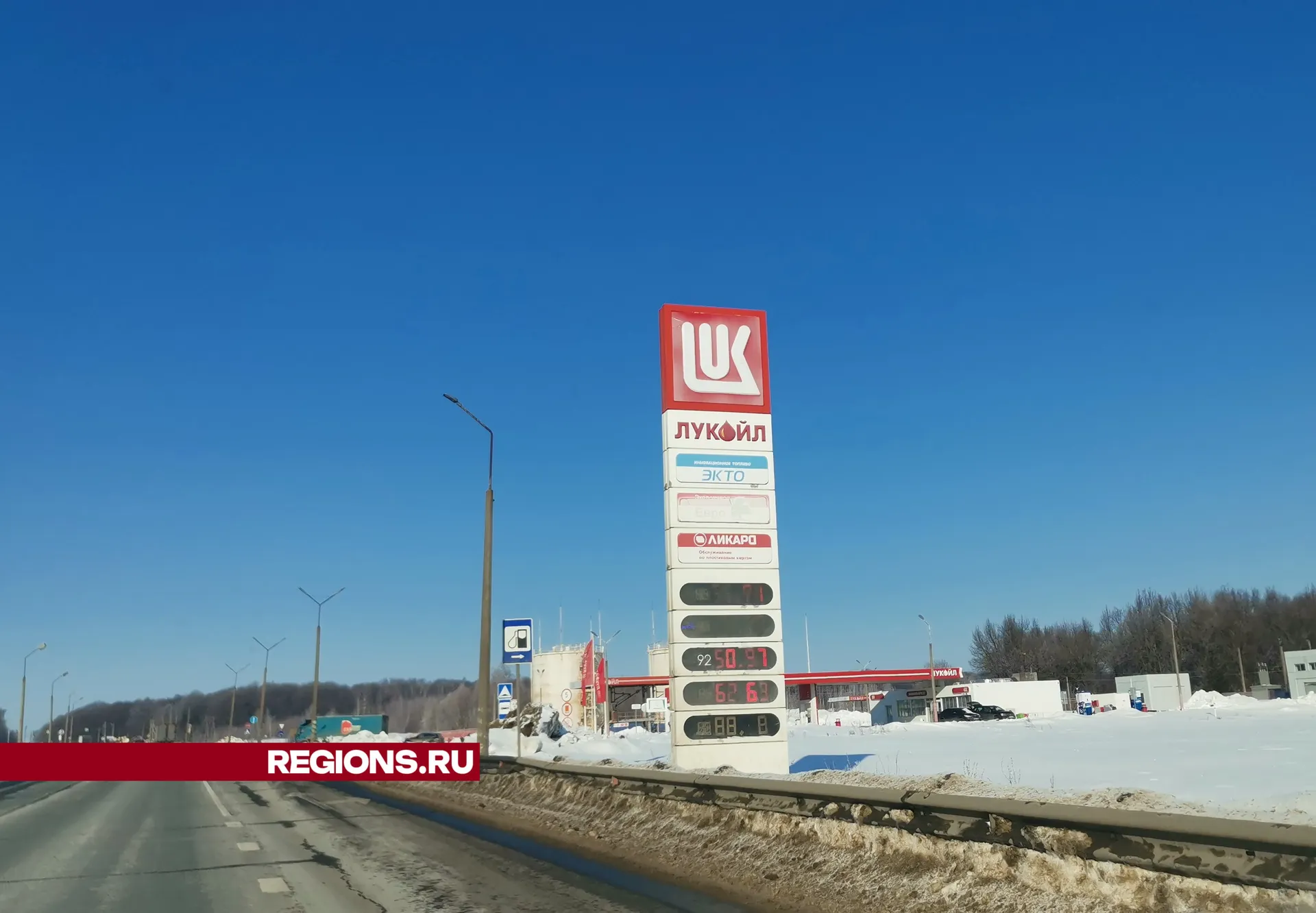 Дарья Кургузова