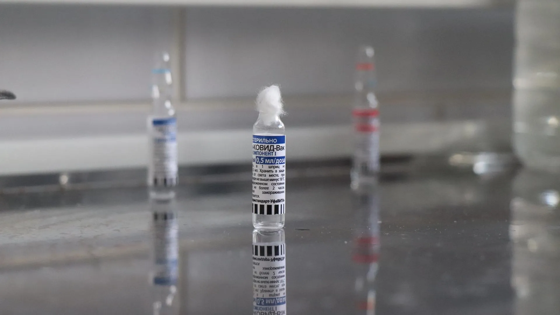 Фото: Василий Тремасов