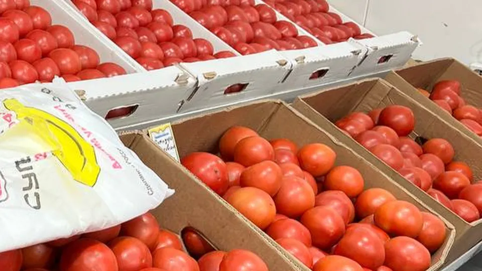 Фото: Елена Фурман