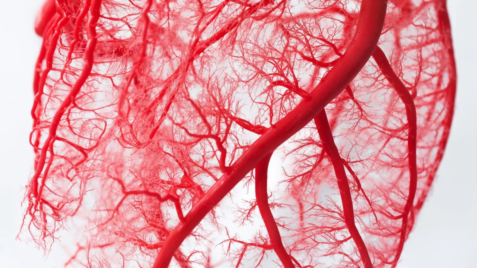 Фото: Pixabay.com