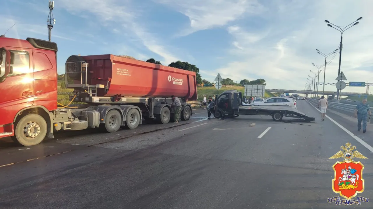 Фото: Управление МВД РФ по Московской области