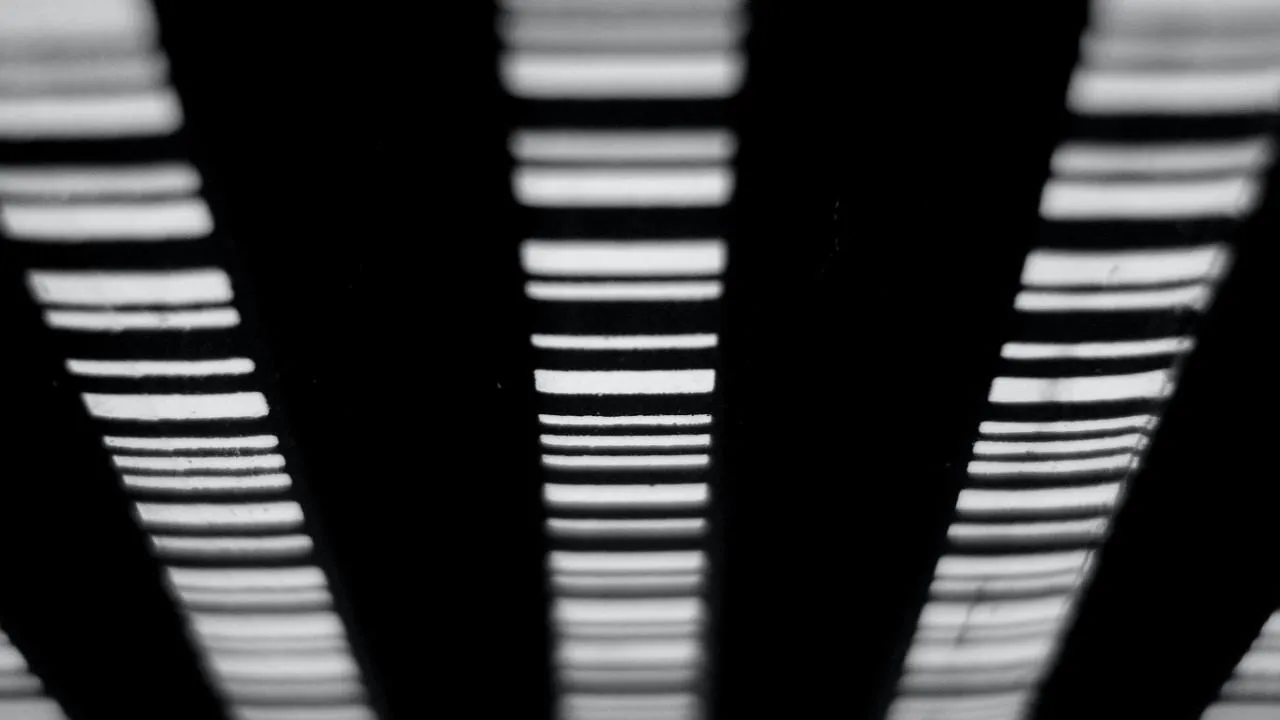 Вице-премьер Украины Стефанишина заявила о готовности выращивать в стране марихуану со штрих-кодом