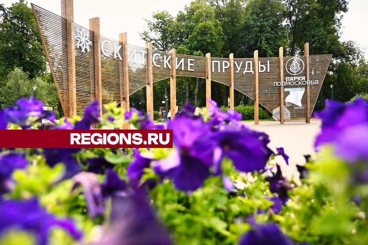 Фото: REGIONS/Дмитрий Зайчиков