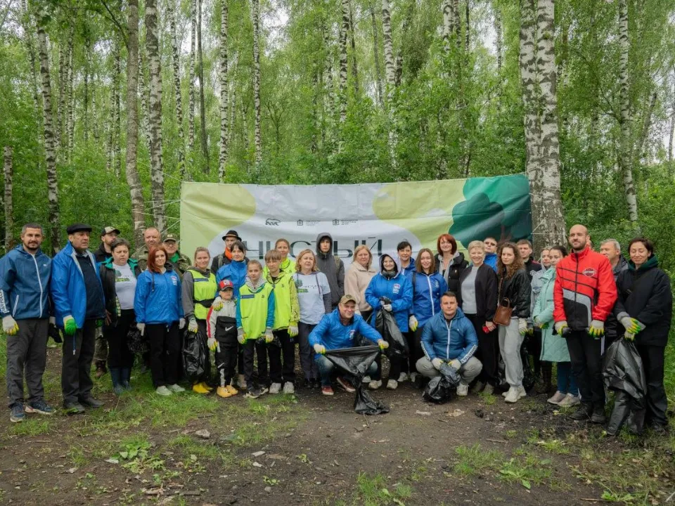 Фото: Комитет лесного хозяйства Московской области