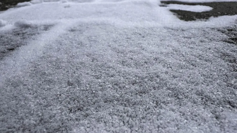 Фото: REGIONS/Владимир Ерастов