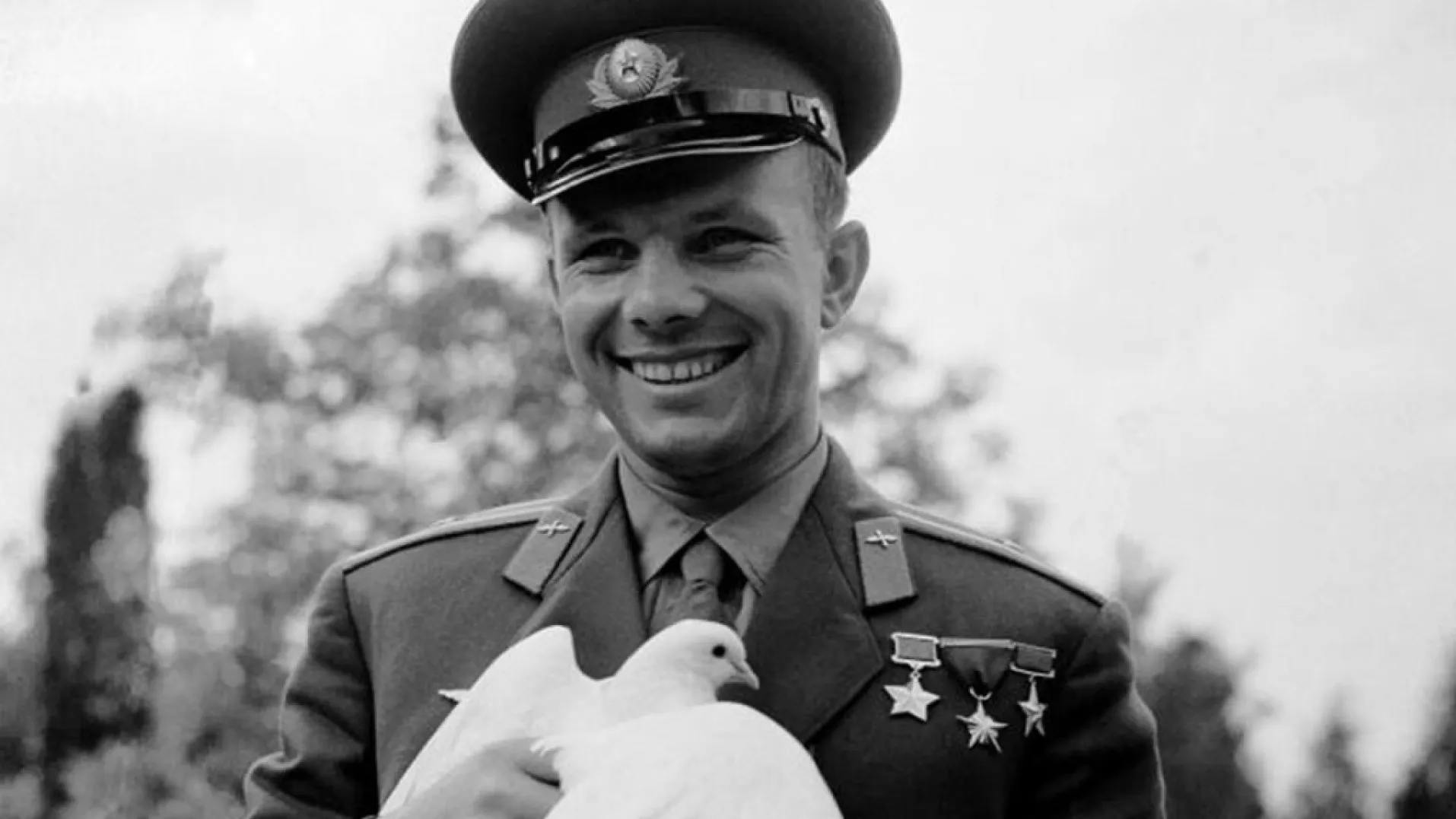 Фото из свободных источников