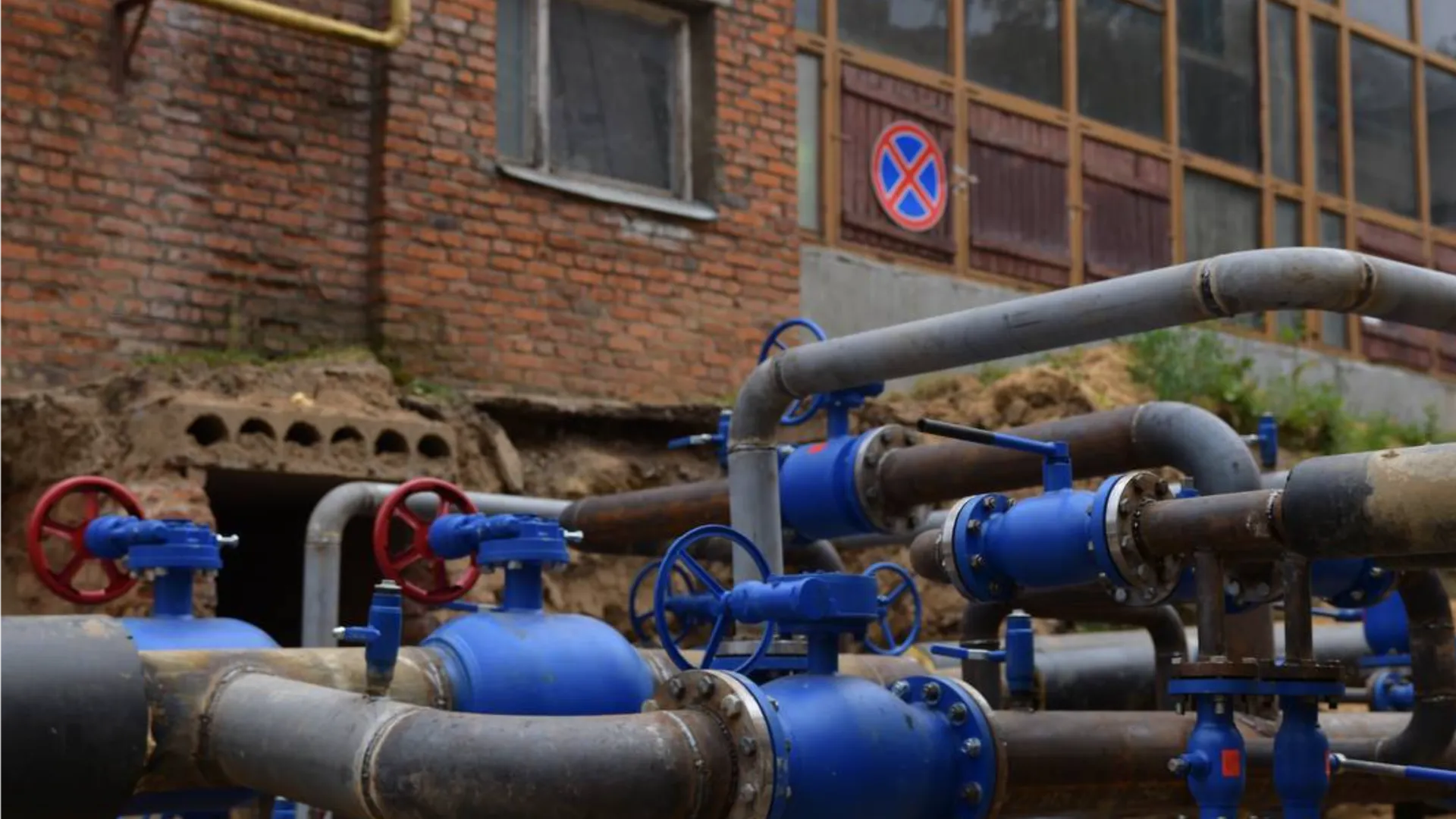 Фото: пресс-служба администрации Дмитровского м.о.