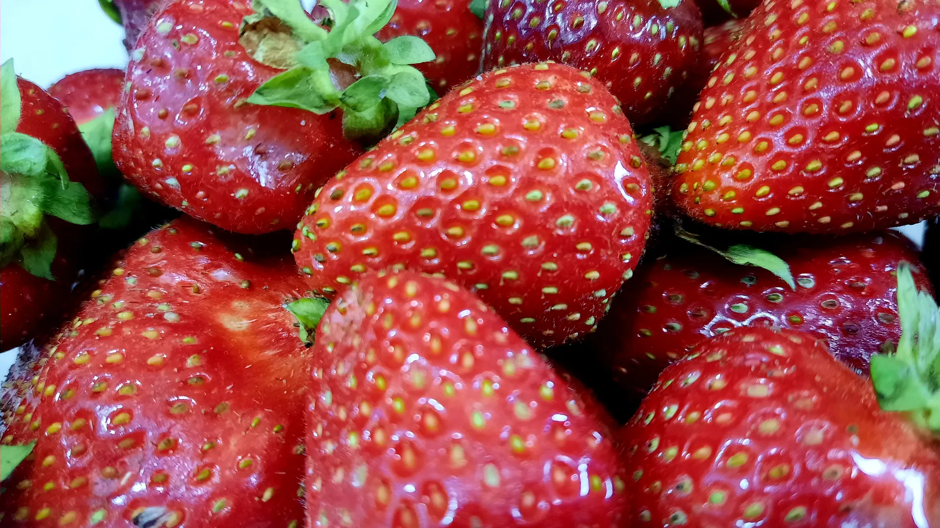 Фото: Мартыненко Михаил