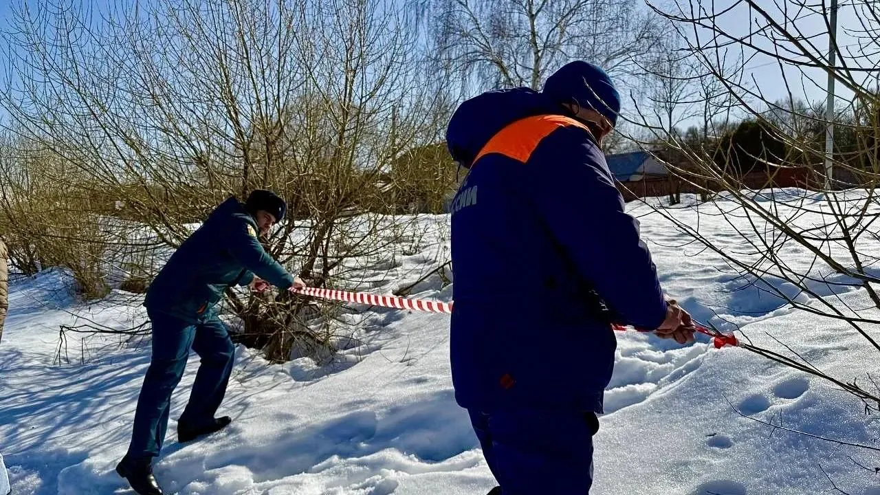 отдел надзорной деятельности и профилактической работы МЧС России по городскому округу Мытищи