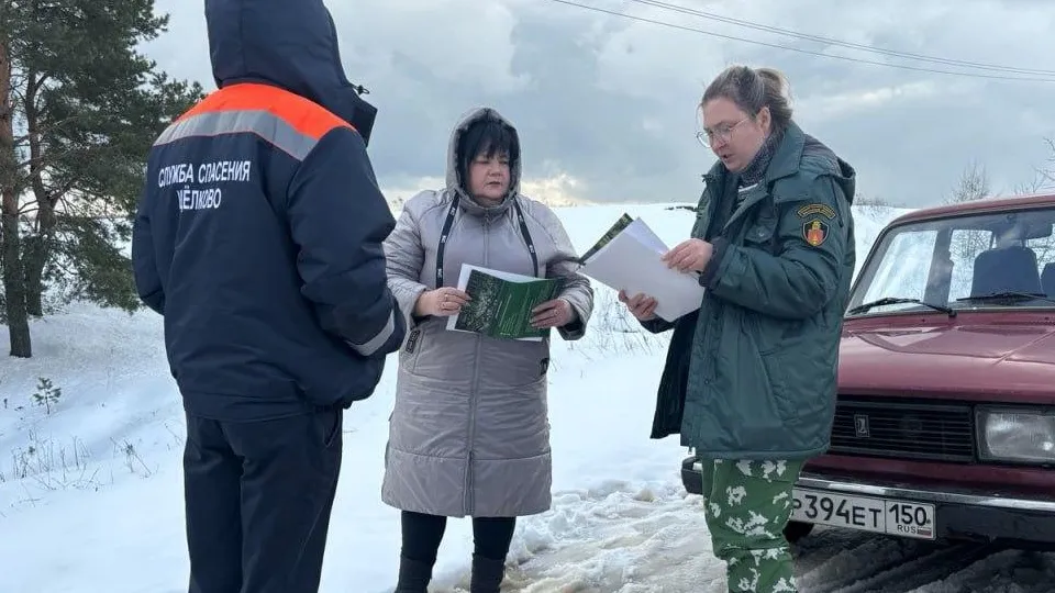 Фото: Комитет лесного хозяйства Московской области