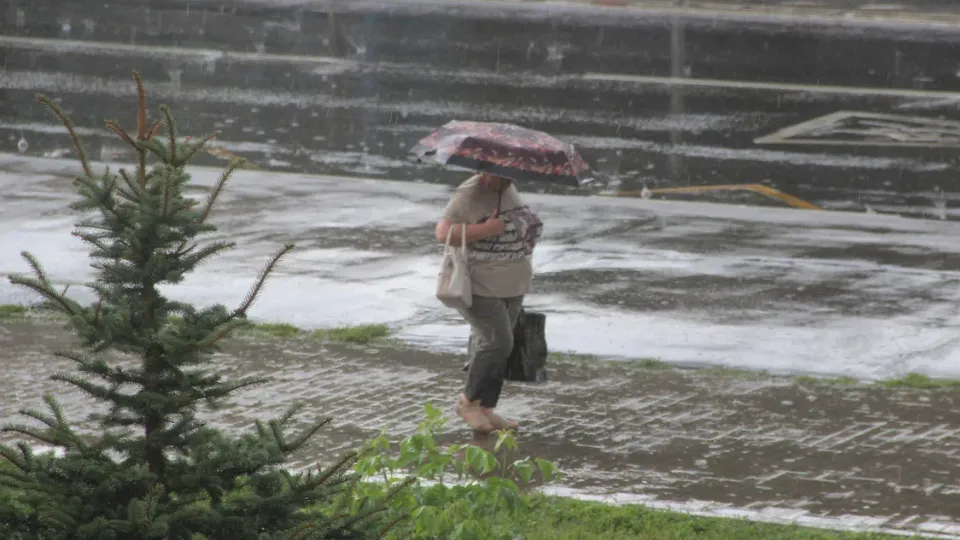 Фото: REGIONS/Василий Тремасов