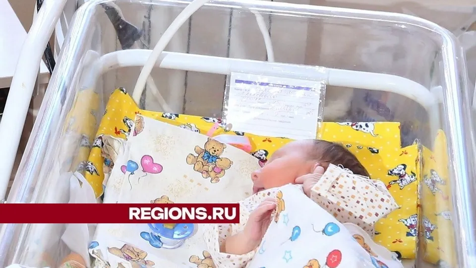 Фото: Александр Дрожжин