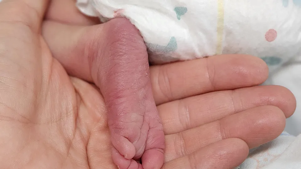 Фото: МедиаБанк Подмосковья/Валентина Максимова