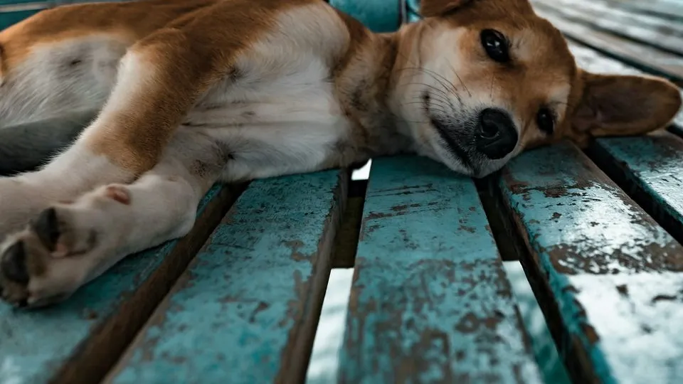 Фото: unsplash.com