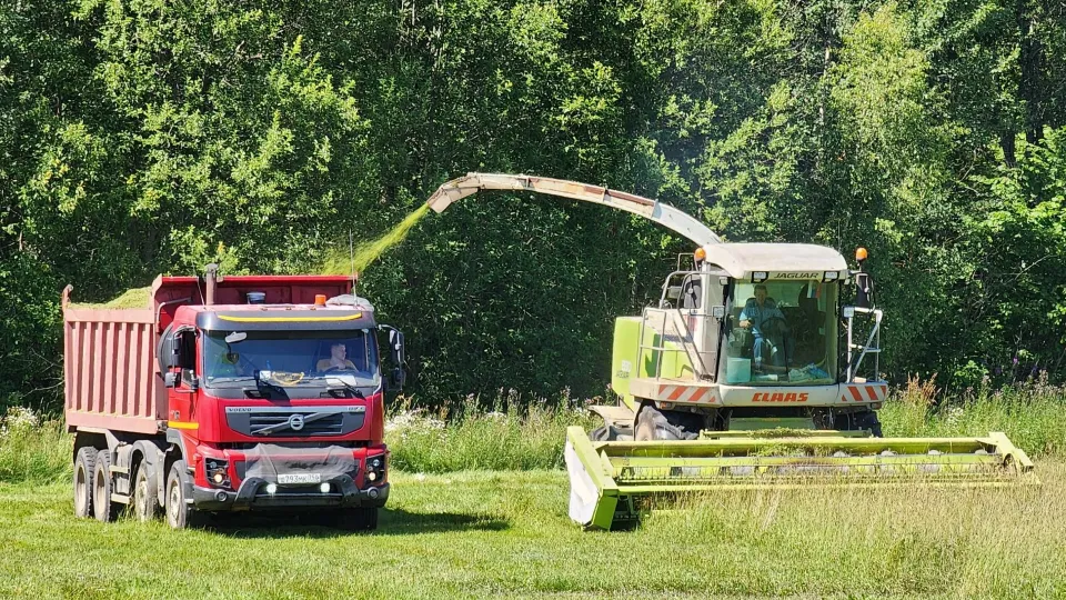 Фото: Дмитрий Алексеенко