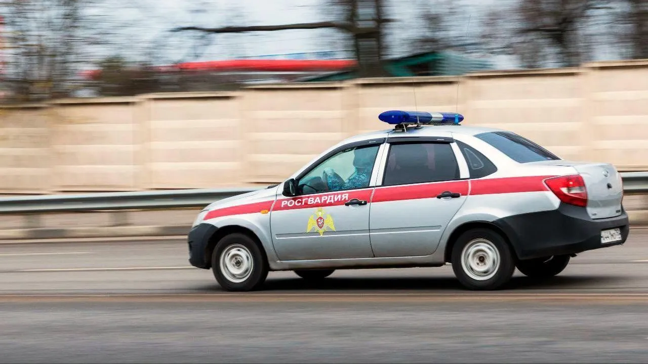 Подмосковные росгвардейцы пресекли кражу дорогостоящего электрооборудования из магазина