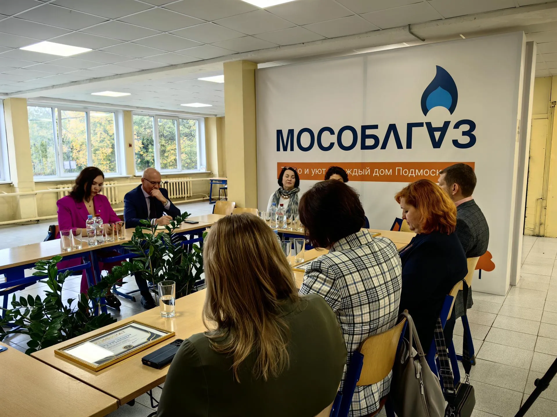 Елена Катасонова